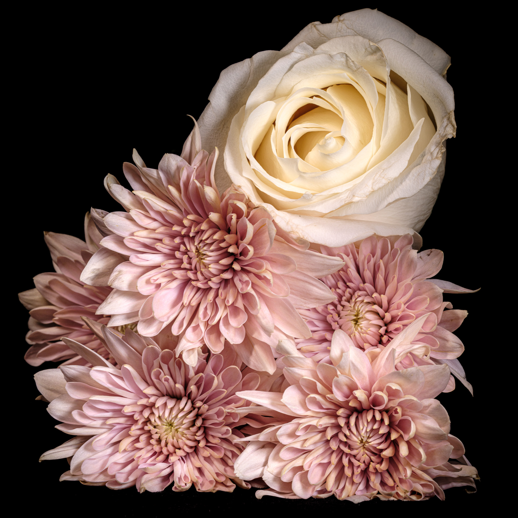 Flower Bouquet of Roses and Mums on a dark background No. 8