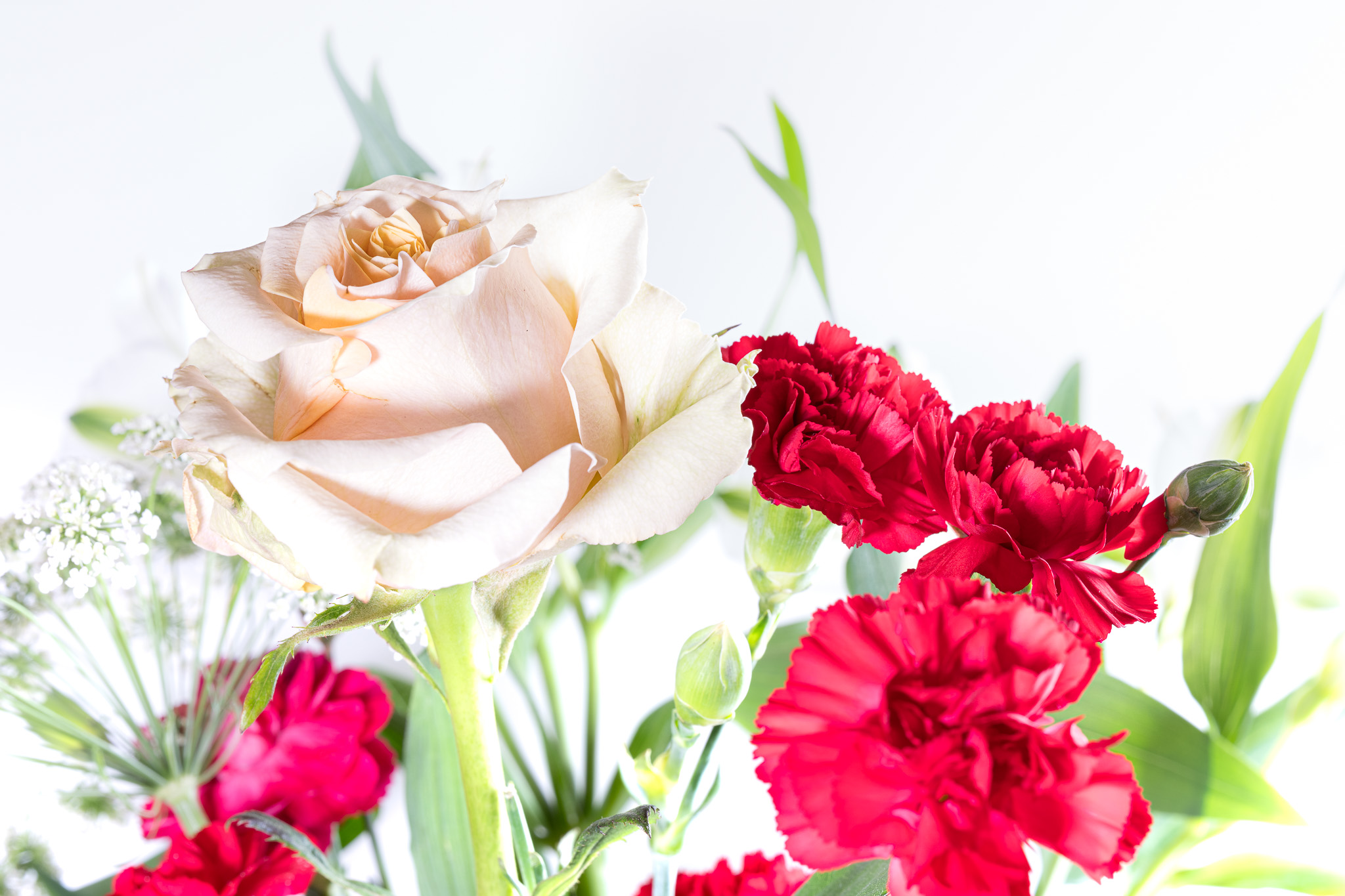 Flower Bouquet of Roses and Mums on a white background No. 5