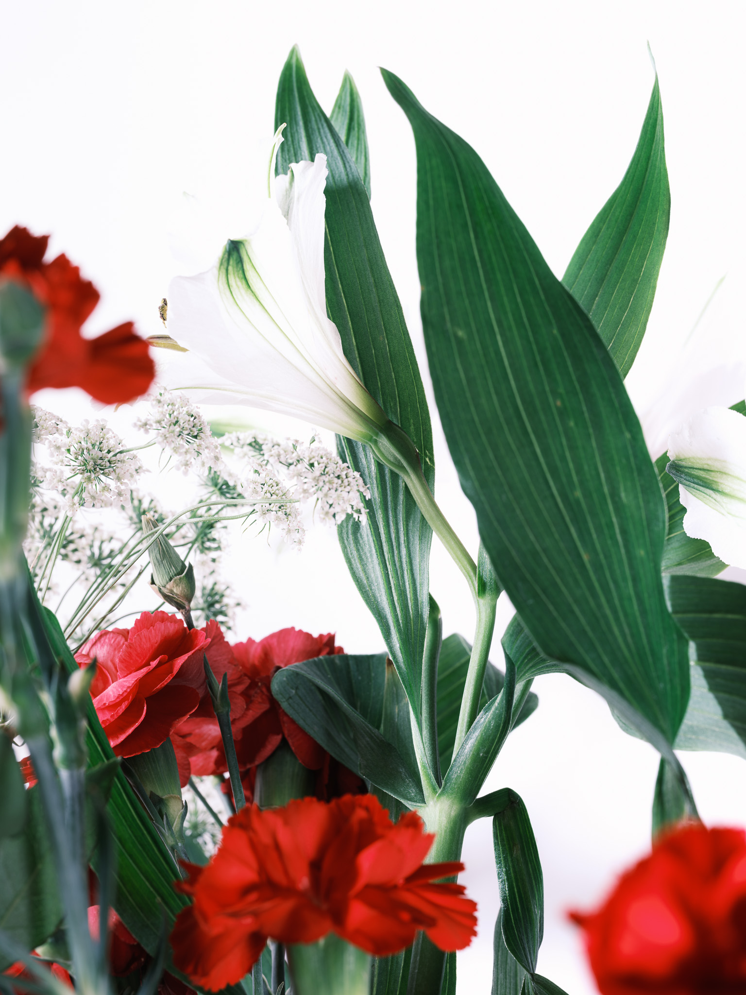 Flower Bouquet of Roses and Mums on a white background No. 2
