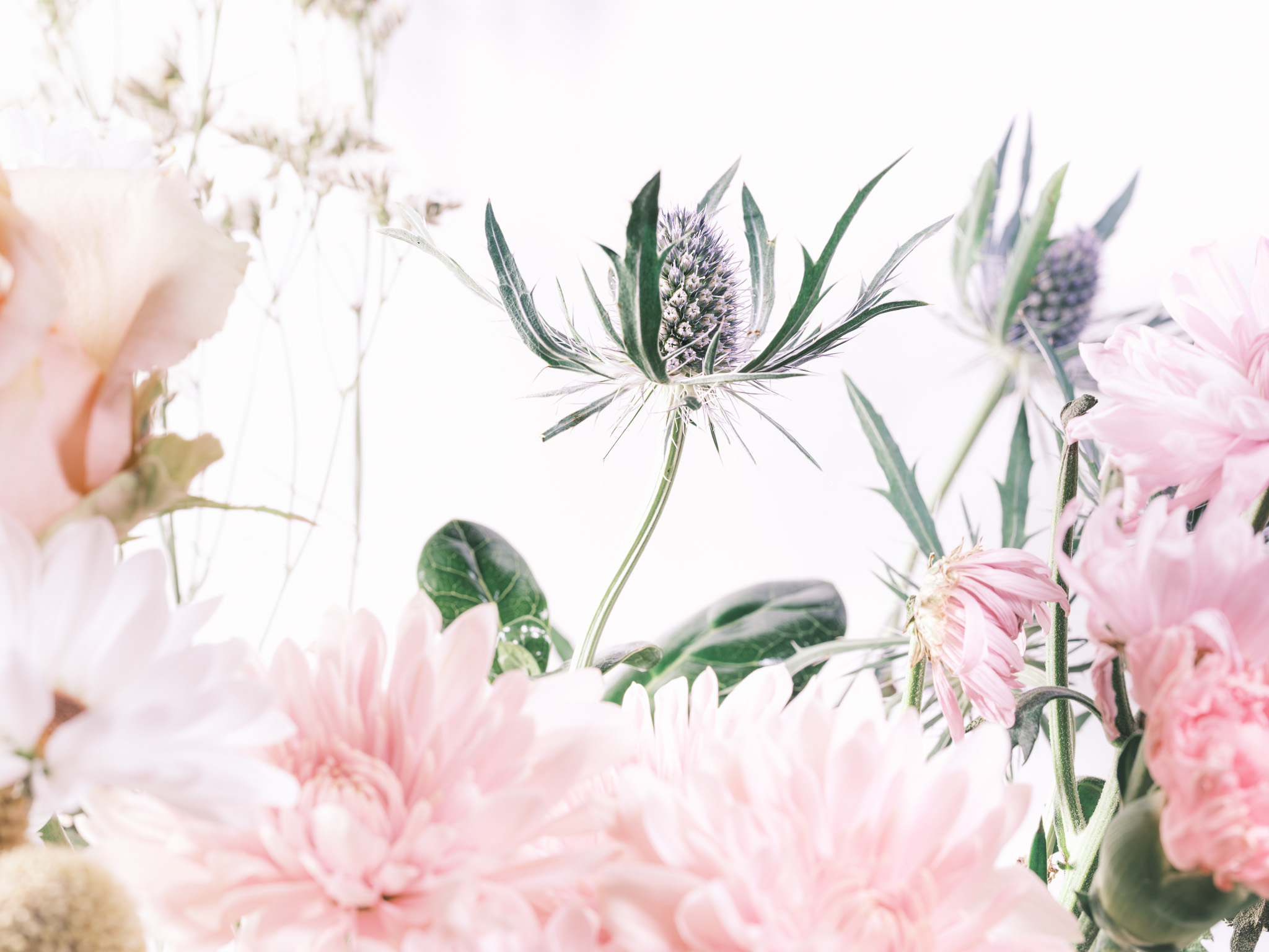 Flower Bouquet of Roses and Mums on a white background No. 4