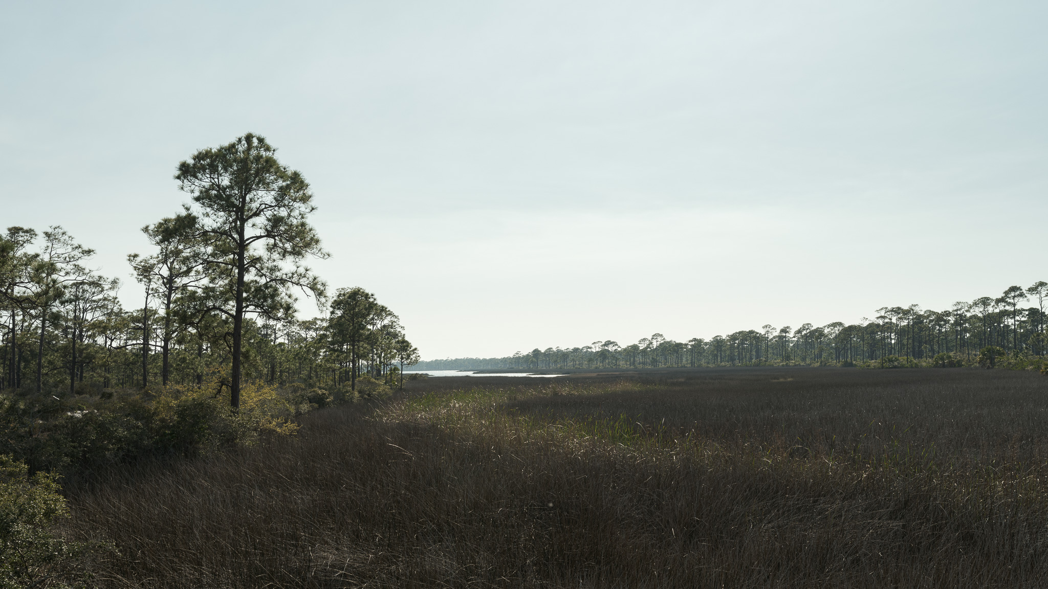A river flows into a Florida bay