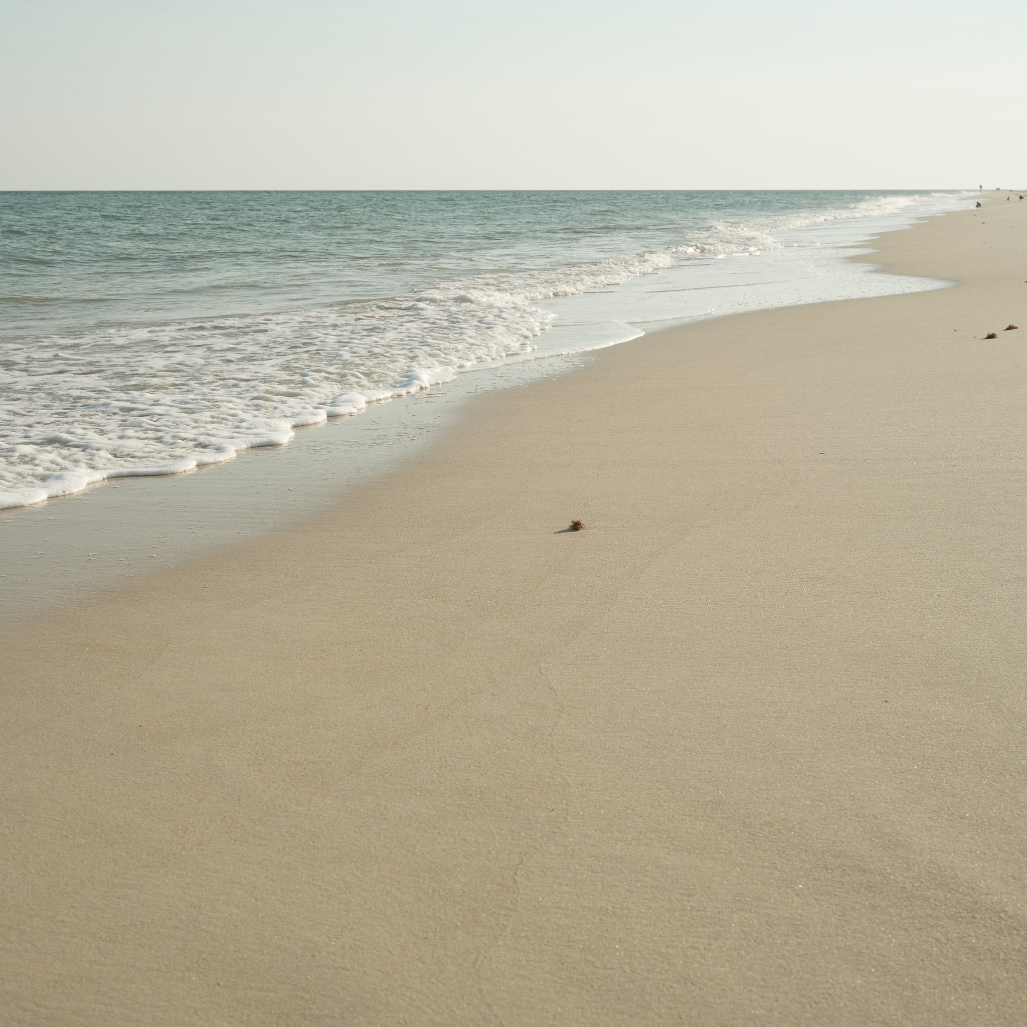 Picture of sand and ocean in Florida