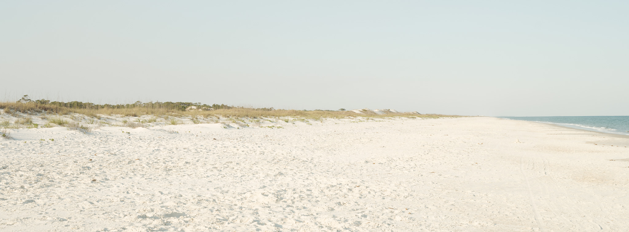 Picture of sand dunes and ocean in Florida
