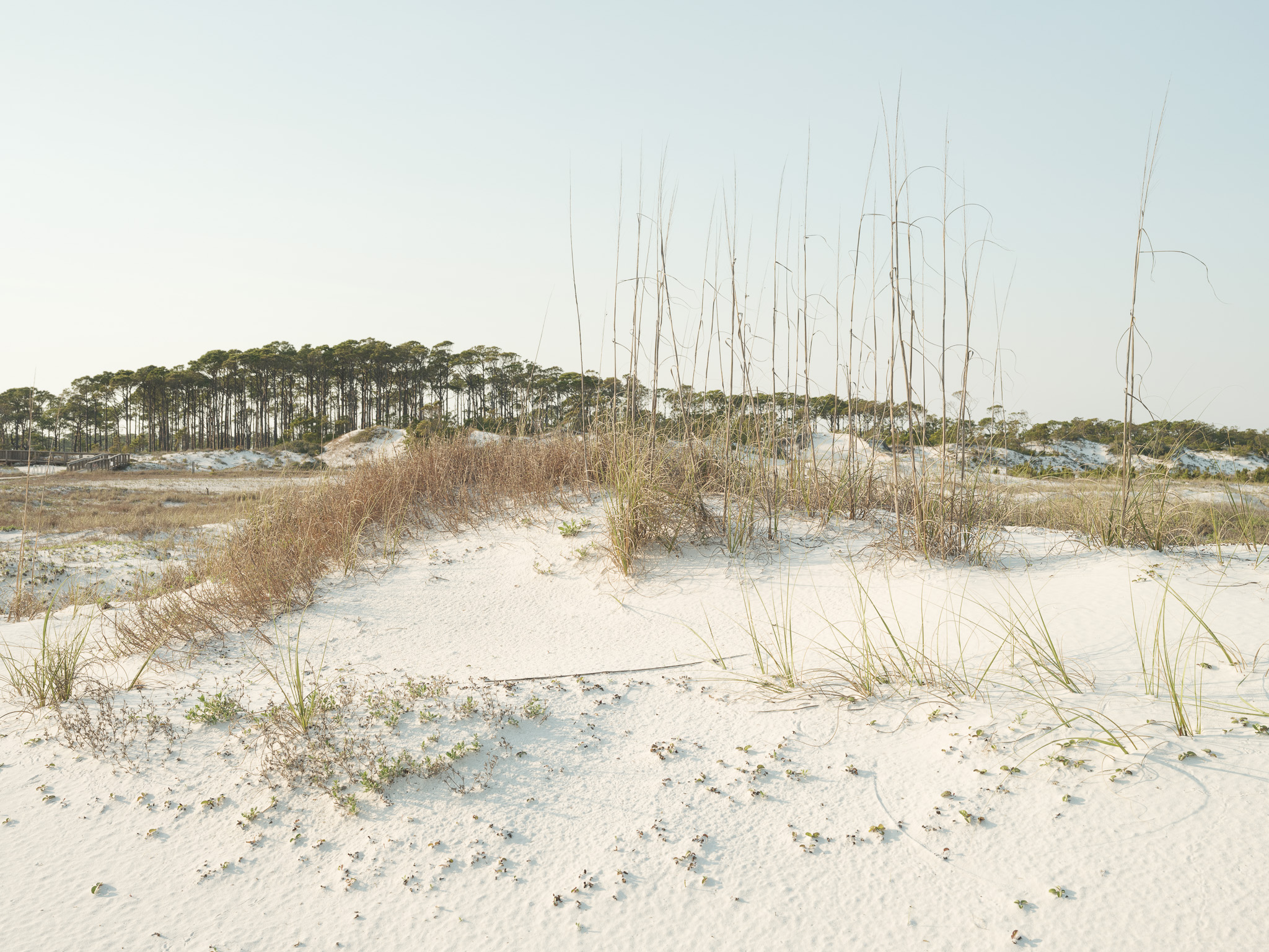 Picture of a sand dune against an ocean backdrop in Florida
