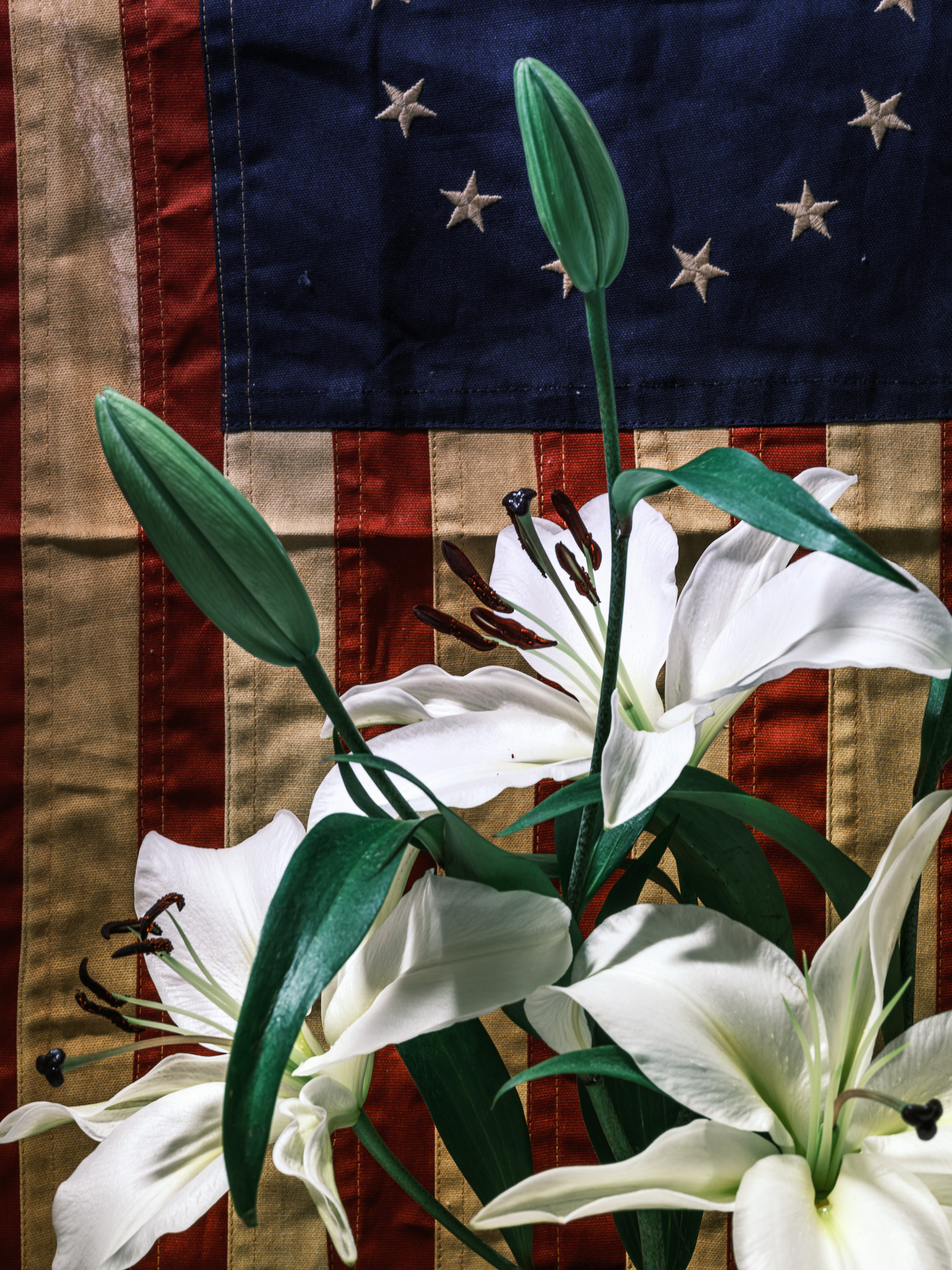 Still-life photography of flowers, american flag, and lilies