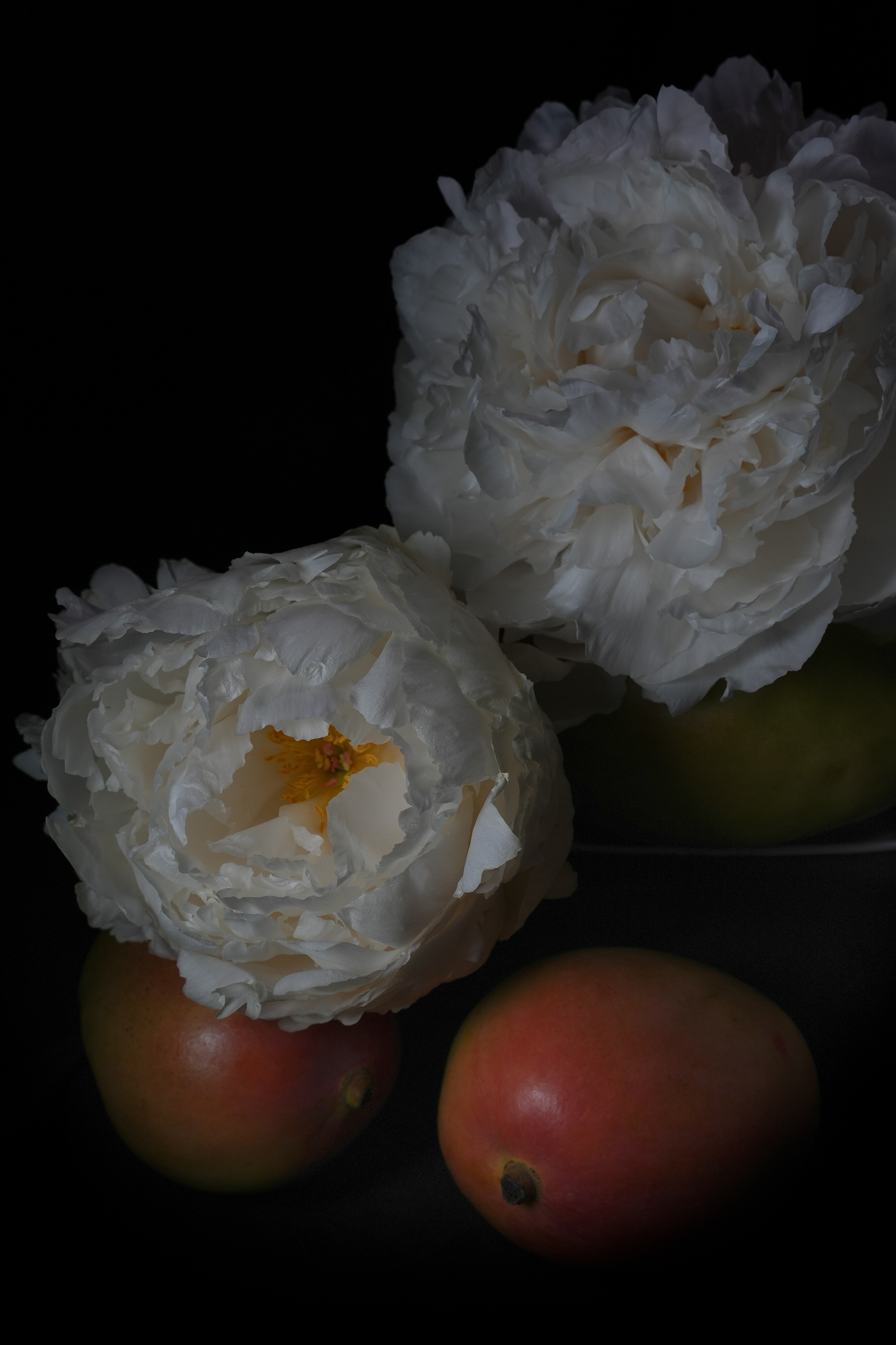 Still life photography of mangos and peonies