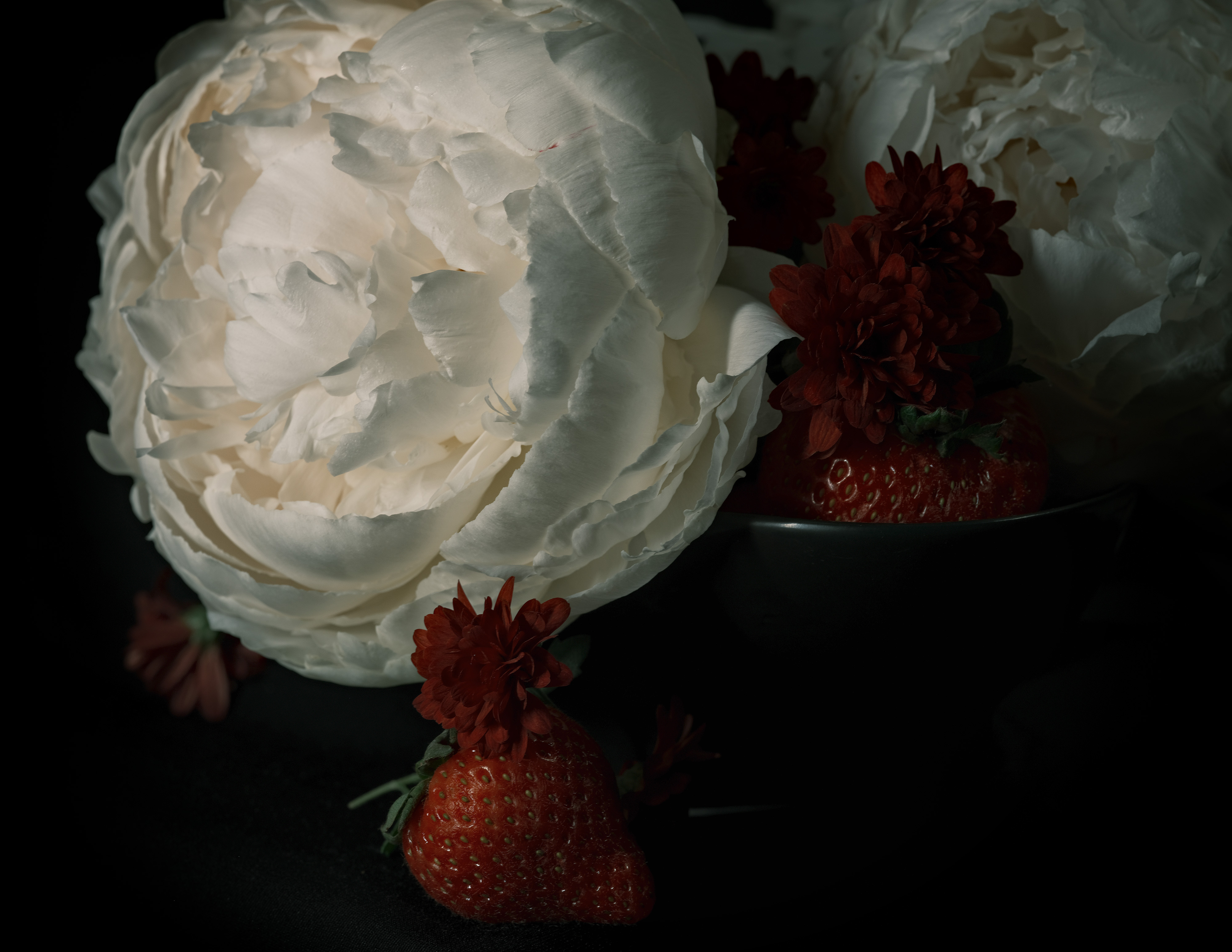 Still life photography of strawberries and peonies