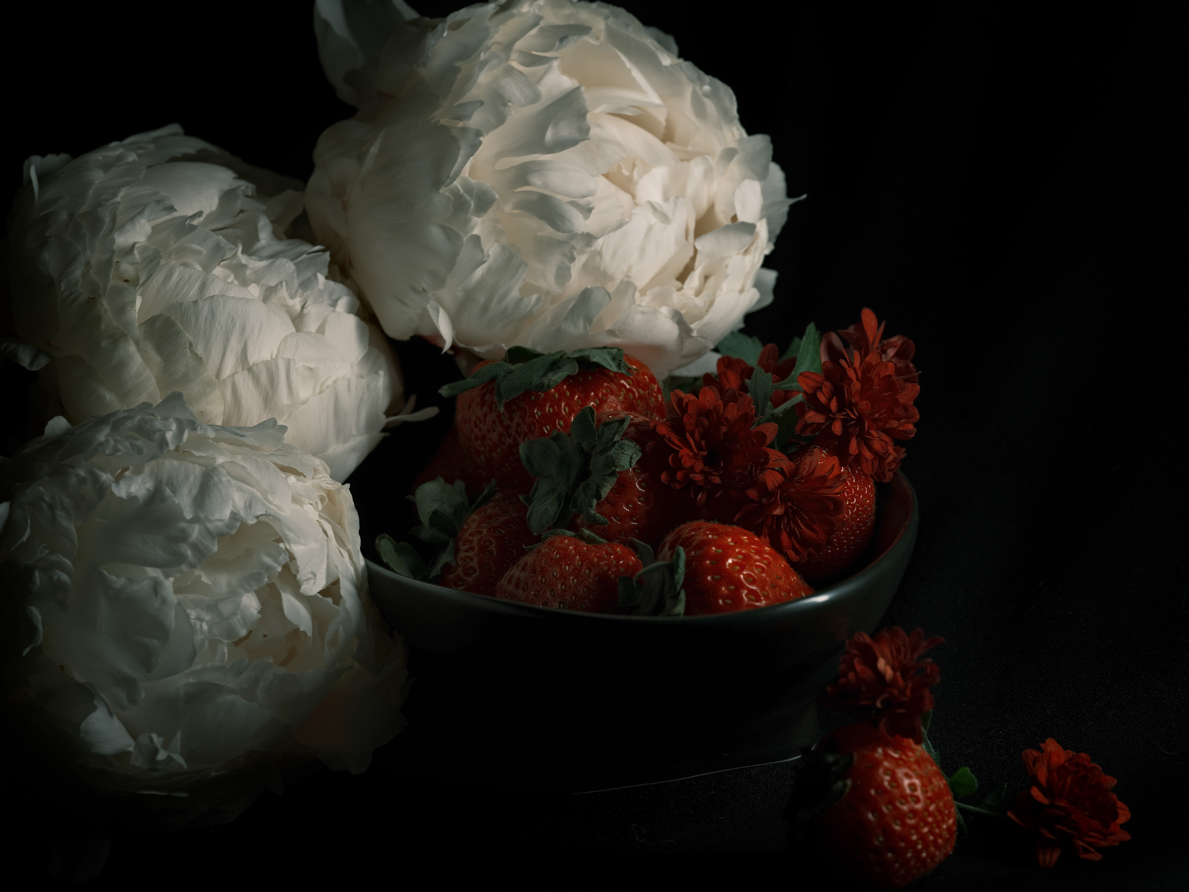 Still life photography of strawberries and peonies