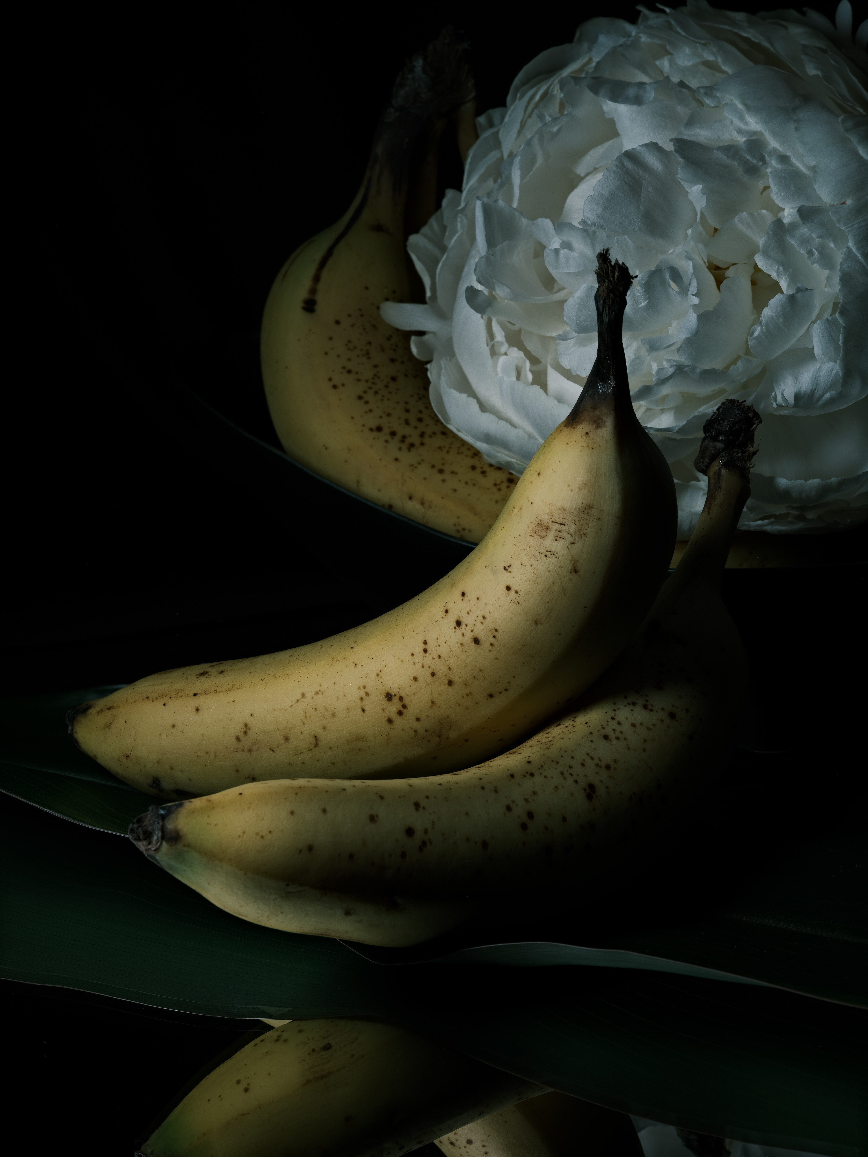 Still life photography of bananas and peonies