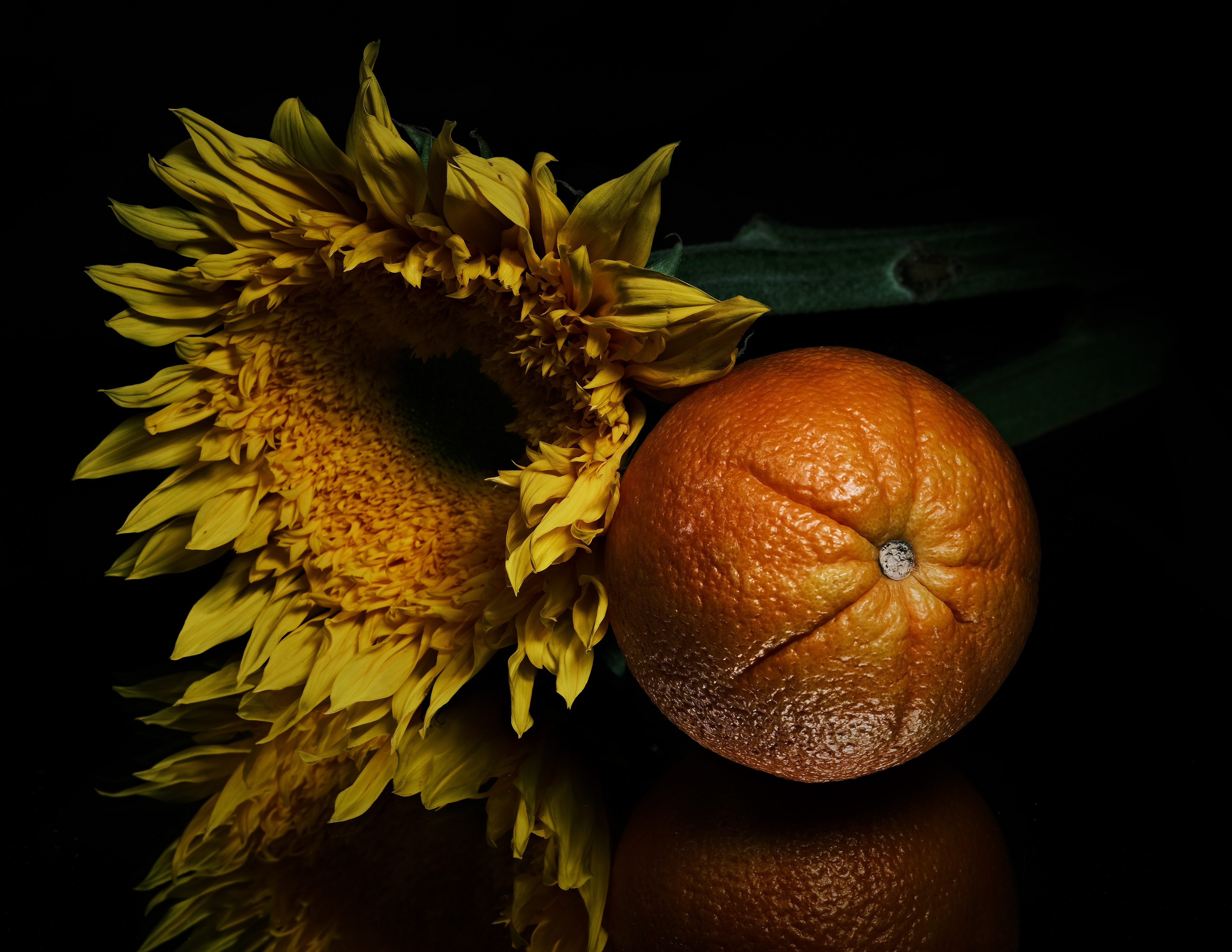 Still life photography of orange and peonies