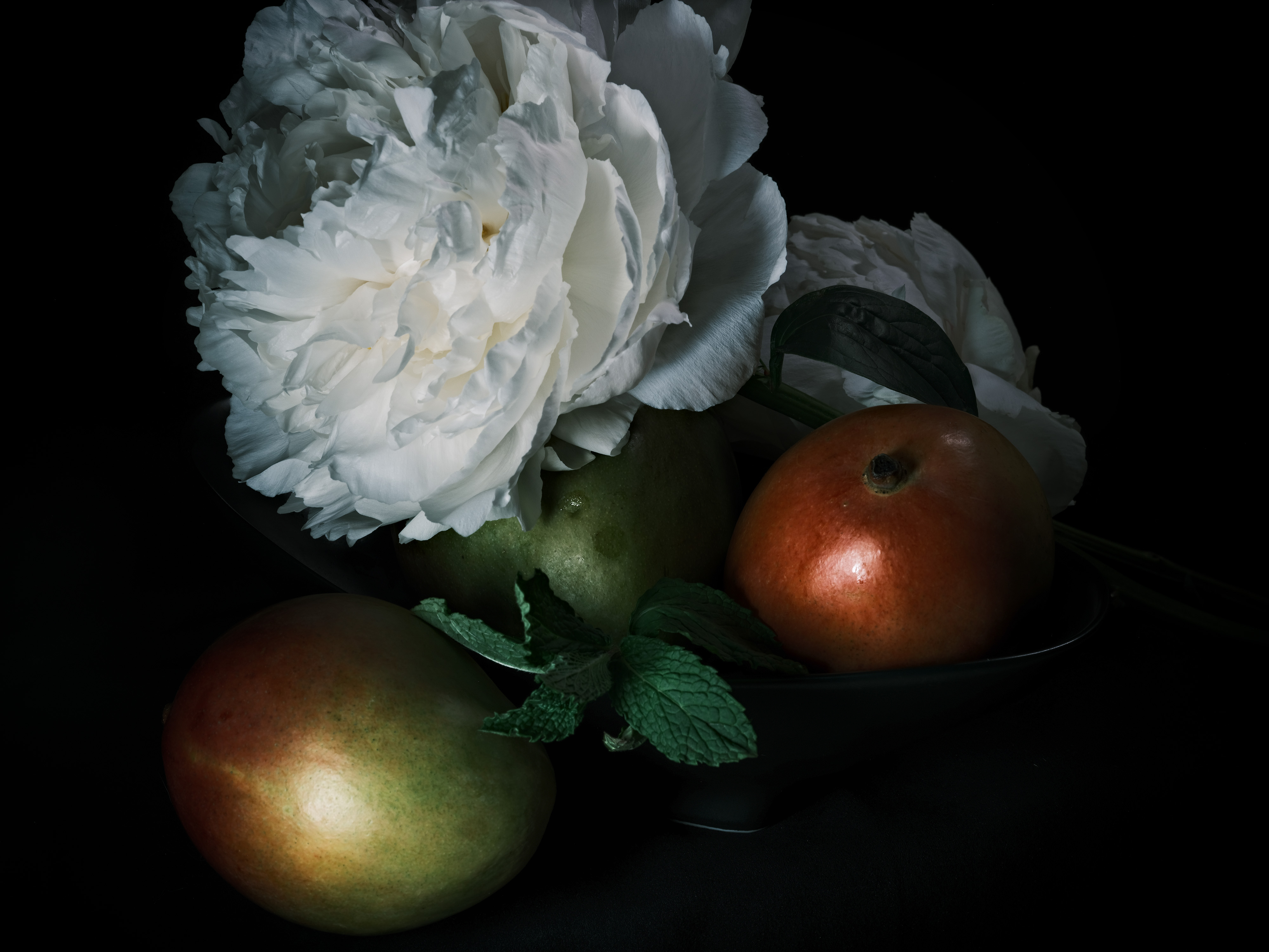 Still life photography of mangos and peonies